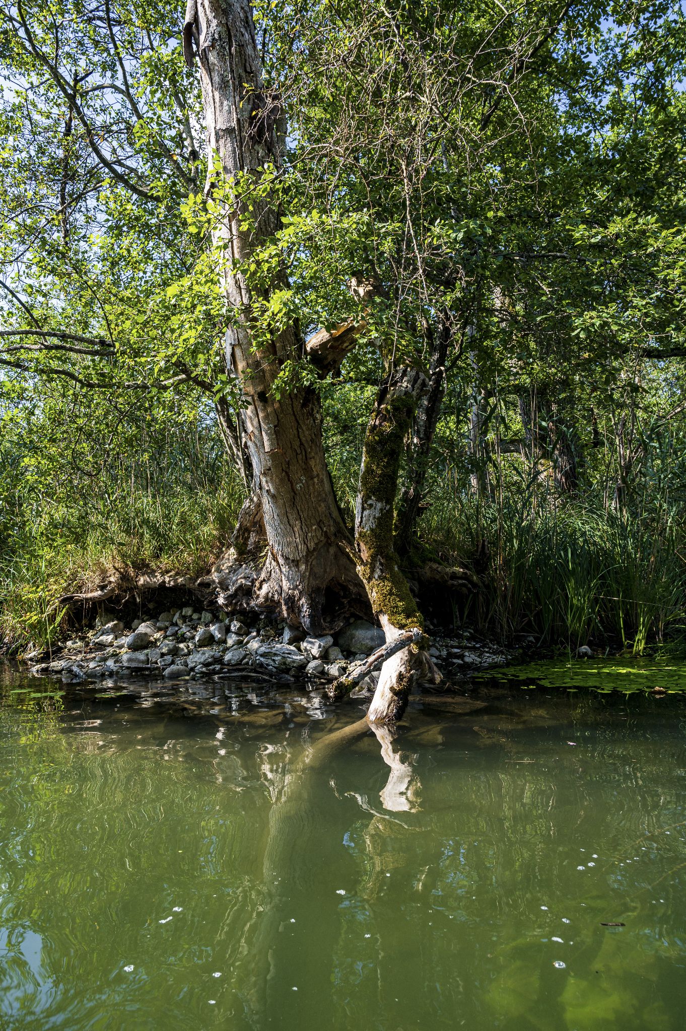 Kajaktour Leutstettner Moos 21.08.2022
